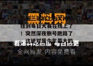 退网三年的上古大神被挂到每日大赛在线上了！突然深夜删号跑路了，这绝对是今年最大的黑马瓜！